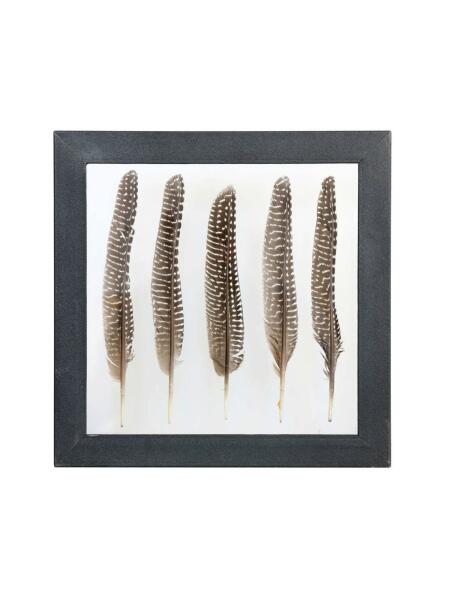 HKliving Pheasant Feather Frame Brown