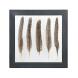 HKliving Pheasant Feather Frame Brown