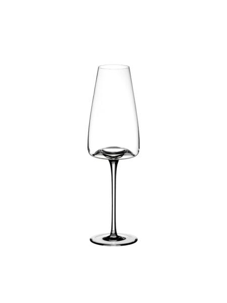 Zieher Vision Rich Weinglas 2er-Set, 280 ml, mundgeblasen, Kristallglas