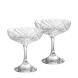 Rosenthal Champagnerschalen Vyras Clear 2er Set