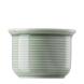 Thomas Eierbecher Trend Colour Moss Green