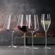 Spiegelau Definition Bordeaux 6er Set mit Poliertuch 