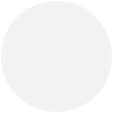 Muted White