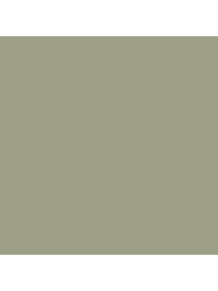 Pastel Green