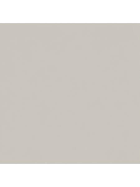 Mourning Dove