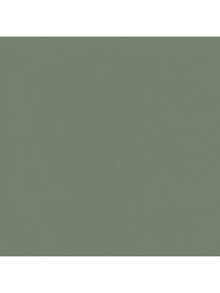 Agave Green