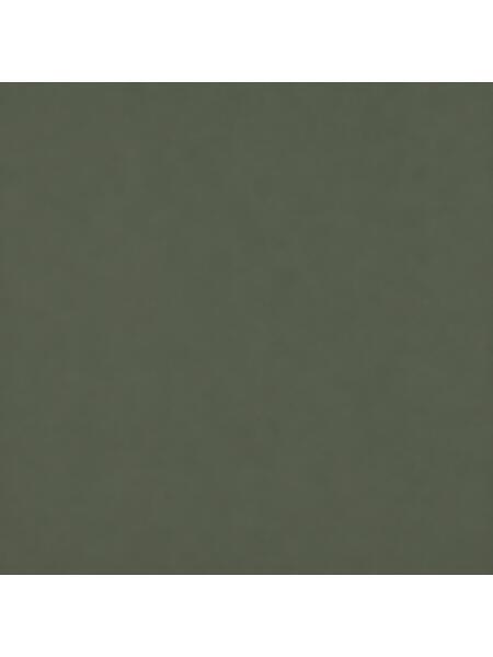 Soft Dark Forest
