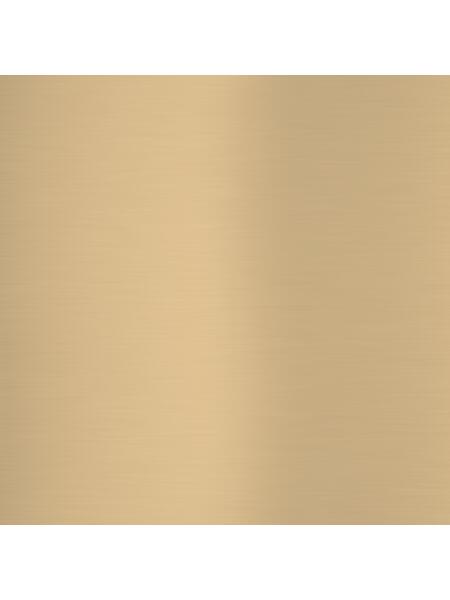 Brushed Brass