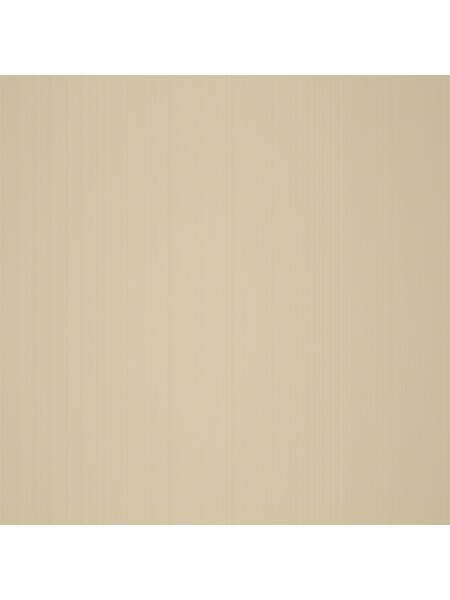 Brushed Brass