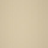 Brushed Brass