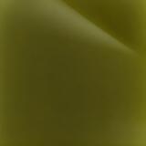 Moss green