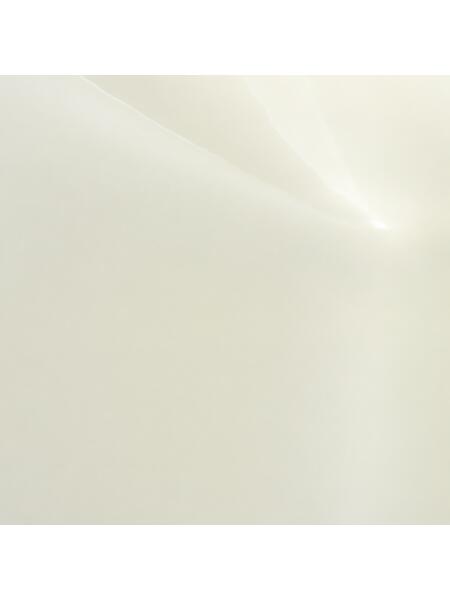 Shell white