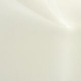 Shell white