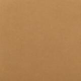 Camel Leather